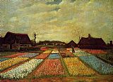 Bulb Fields by Vincent van Gogh